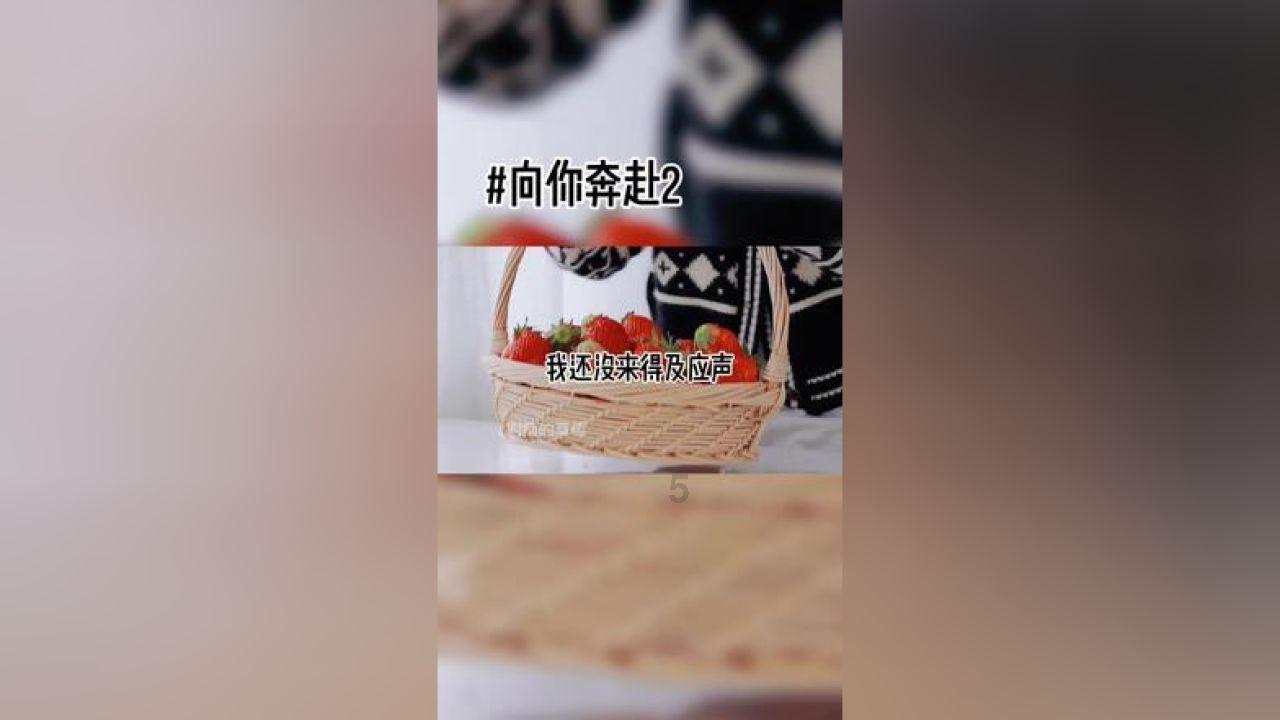 呆萌动物园