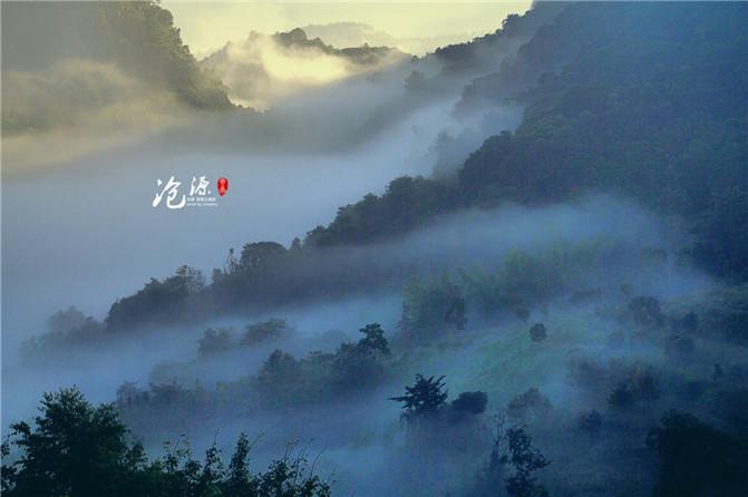 牛散陈发树，用了16年，在云南亏了近百亿