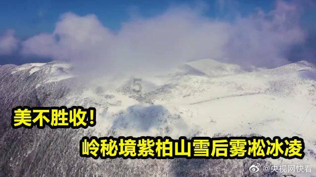 热议大大甜梨和什么放一起不爱坏,尽在大大甜梨和什么放一起不爱坏红迪网!