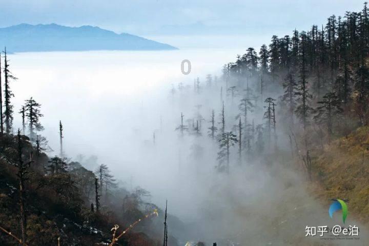 看好经济前景 外资重新流入中国资产