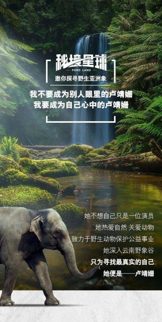 寒冷的低语