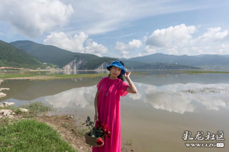 探寻天涯问答平台