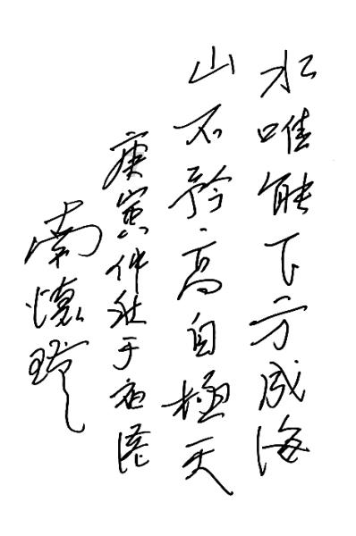 逃离野鸡森林