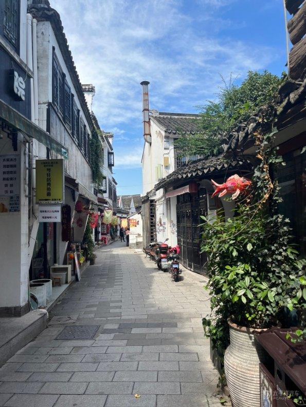 逃出熊蜂森林